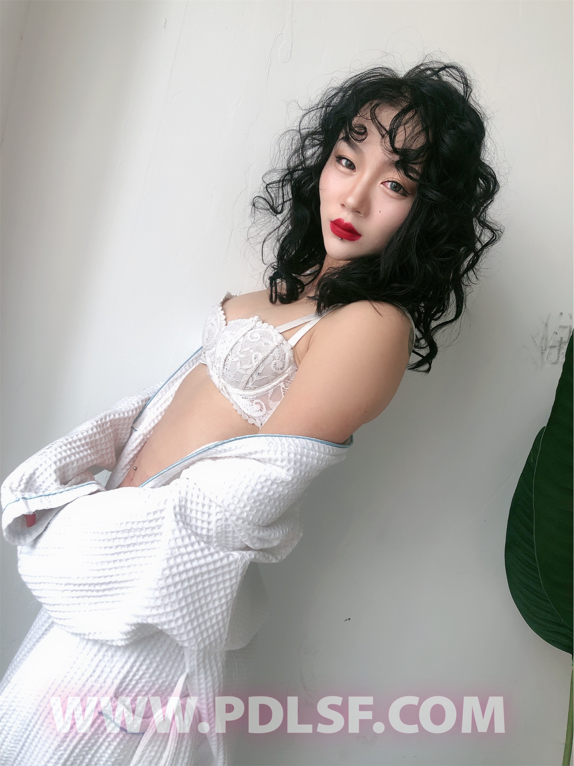 PDL潘多拉 2020.02.03 专辑No.277